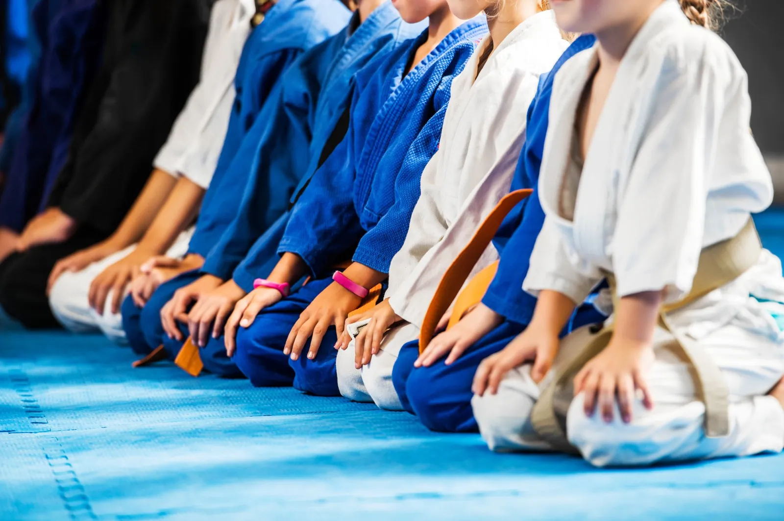 Adult Adult Classes training